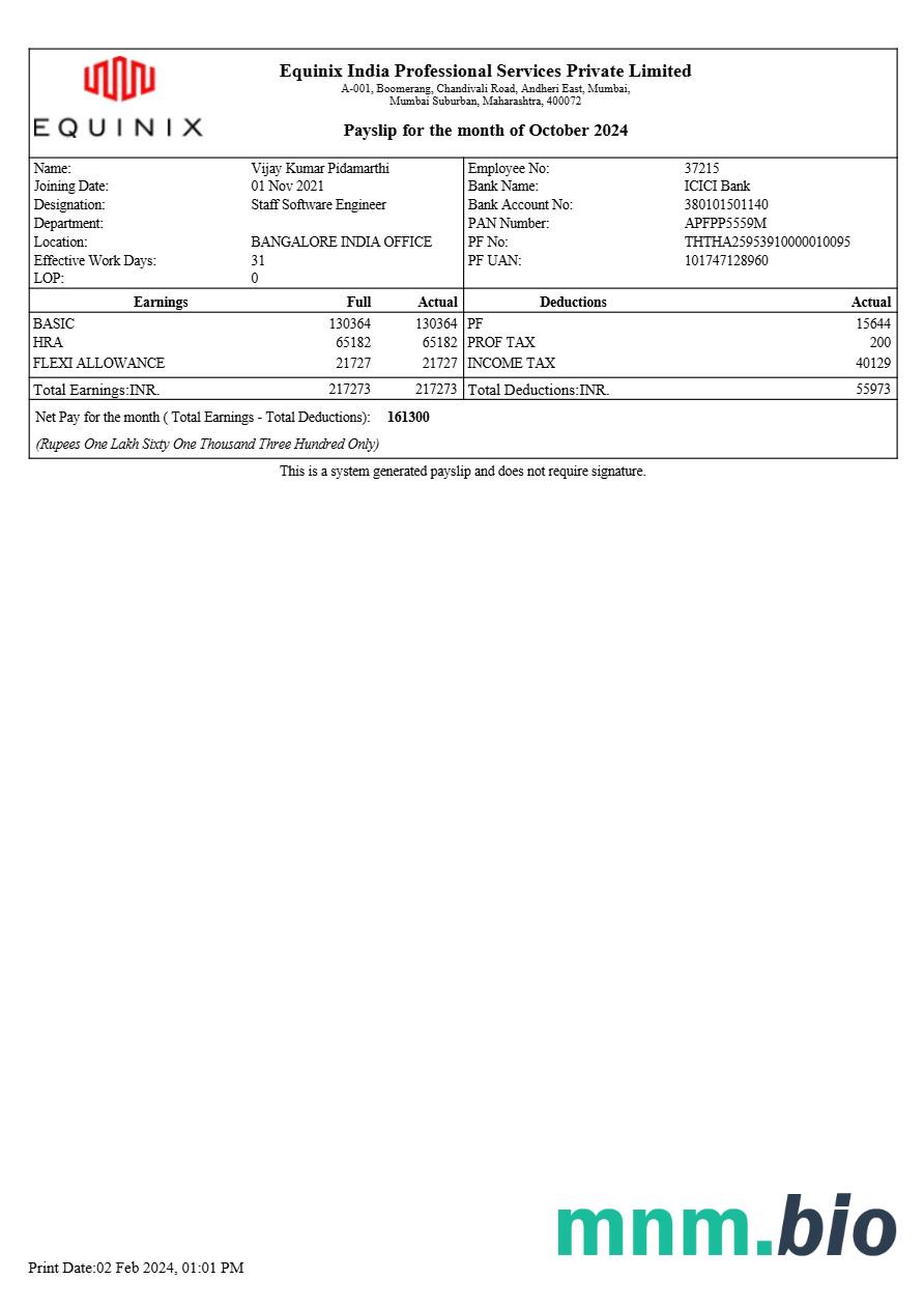 Equinix India Professional Services payslip template w formatach Word i PDF